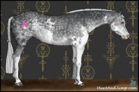 Horse Color:Silver Black Chinchilla Splash 