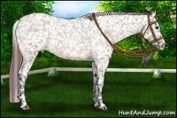 Horse Color:Bay Roan Dun Snowflake Varnish 