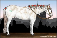 Horse Color:Red Dun Sabino