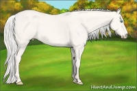 Horse Color:Silver Smoky Creme