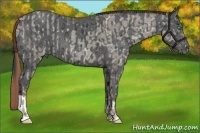 Horse Color:Smoky Black Ice Pearl  and Black Ice 