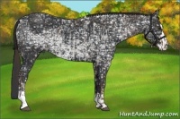 Horse Color:Liver Chestnut Ice Sabino  and Black Ice Sabino 