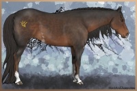 Horse Color:Liver Chestnut Sabino 