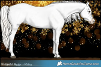 Horse Color:Silver Black Blanket  and Silver Bay Blanket 