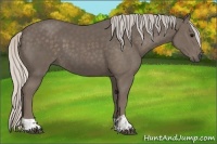 Horse Color:Silver Black and Silver Black