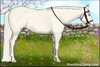 Horse Color:Cremello Dun 