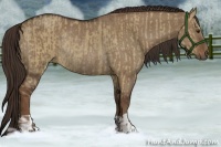 Horse Color:Liver Red Dun and Liver Red Dun Rabicano