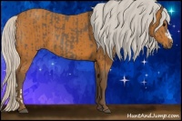 Horse Color:Silver Black  and Silver Bay 