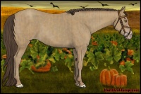 Horse Color:Classic Cream Champagne and Classic Cream Champagne