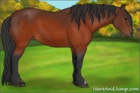 Horse Color:Brown 