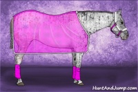 Horse Color:Blue Ice Roan  and Blue Ice Roan Blanket 