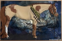 Horse Color:Chestnut and Red Dun