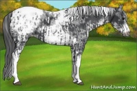 Horse Color:White Spotted Black Splash Tobiano Frame Varnish  and White Spotted Black Tobiano Frame Varnish 