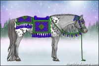 Horse Color:Black Appaloosa