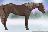 Horse Color:Liver Chestnut