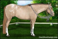 Horse Color:Liver Chestnut Pearl Blanket  and Liver Chestnut Pearl Rabicano 