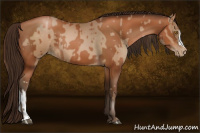 Horse Color:Brown Pearl  and Gray Brown Pearl 