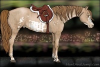 Horse Color:Liver Chestnut Pearl  and Liver Chestnut Pearl Frame 