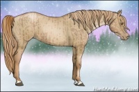 Horse Color:Liver Chestnut Pearl  and Liver Red Dun Pearl 