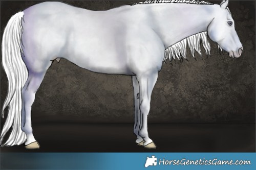 Horse Color:Chocolate Silver Perlino Chinchilla Mushroom Tobiano 