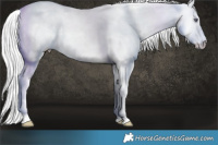 Horse Color:Chocolate Silver Perlino Chinchilla Mushroom Tobiano 