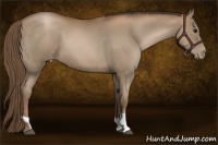 Horse Color:Black Pearl  and Black Pearl 