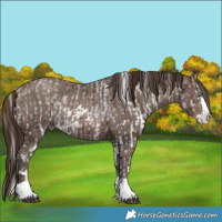 Horse Color:Liver Red Dun Ice Pearl Mushroom Splash Tobiano Brindle  and Gray Brown Ice Pearl Mushroom Rabicano 