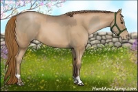 Horse Color:Black Pearl  and Liver Chestnut Pearl 