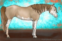 Horse Color:Liver Chestnut Pearl  and Liver Chestnut Pearl Splash 