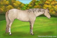 Horse Color:Liver Red Roan Pearl  and Liver Red Roan Pearl 
