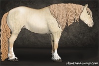 Horse Color:Liver Red Dun Pearl  and Red Dun Pearl 