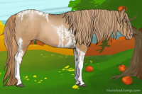 Horse Color:Liver Chestnut Pearl Tobiano  and Gray Liver Red Dun Pearl Tobiano 