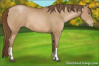 Horse Color:Bay Pearl  and Bay Pearl 