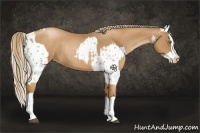 Horse Color:Liver Chestnut Pearl Appaloosa and Liver Chestnut Pearl Splash Rabicano