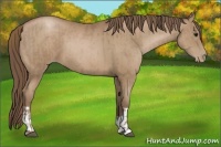 Horse Color:Black Pearl  and Black Pearl 