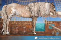 Horse Color:White Spotted Liver Chestnut Pearl  and White Spotted Chocolate Palomino Pearl 