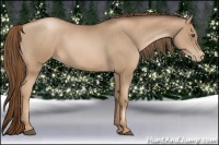 Horse Color:Liver Chestnut Pearl  and Liver Chestnut Pearl 