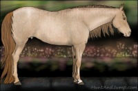 Horse Color:Liver Chestnut Pearl  and Liver Red Roan Pearl 