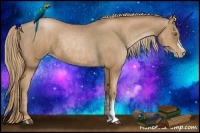 Horse Color:Liver Chestnut Pearl  and Liver Chestnut Pearl 