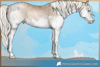 Horse Color:White Spotted Chocolate Palomino Pearl Mushroom Splash Tobiano and White Spotted Liver Chestnut Pearl Mushroom Splash Tobiano