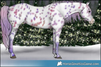 Horse Color:Nacre Watercolor Brown Dun Splash Near Leopard 