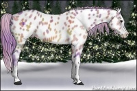 Horse Color:Nacre Watercolor Bay Dun Splash Appaloosa 