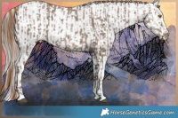 Horse Color:Brown Ice Pearl  and White Spotted Brown Ice Pearl Sabino Splash 