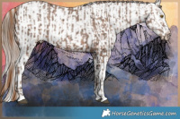 Horse Color:Brown Ice Pearl  and White Spotted Brown Ice Pearl Sabino Splash 