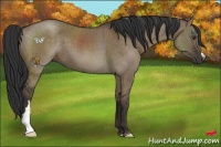 Horse Color:Liver Red Dun Brindle 