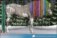 Horse Color:Painted Silver Brown Ice Pearl Dun Tobiano and Painted Brown Ice Pearl Dun
