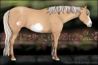 Horse Color:Silver Amber Champagne Sabino Frame 