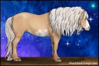 Horse Color:Silver Amber Champagne Sabino Frame 