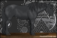 Horse Color:Black Sabino 