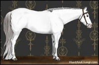 Horse Color:Black Sabino Varnish Rabicano